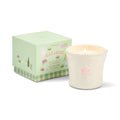 Paddywax Bistro 8oz/226g Macaron Ceramic Candle - Amber & Pistachio